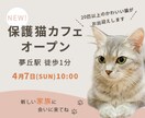 ママ女性向け＊心に届くやさしいバナー制作します 現役ママが制作。丁寧なヒアリングで初めての方も安心です。 イメージ4