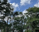 SNSのオススメ画像提供します インスタの素材写真いかがですか？ イメージ1
