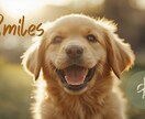 犬狼系男子登録販売者が話し相手になります 楽しいひと時お届けします☆趣味の話や将来の夢など! イメージ6