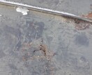 雨漏りを起こさない為に、屋根の状況をお伺いします 雨漏りの補修方法を、具体的に提案致します イメージ2