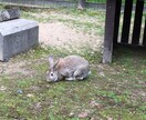 あなたのお話お聞きします トークルームで一緒に気持ちを整理しましょう イメージ1