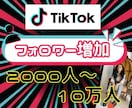 TikTokフォロワーを増加します TikTokフォロワー宣伝・拡散！フォロワー増加確実！保証付 イメージ4
