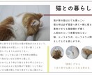 チラシ、バナー作成します 可愛らしい/ナチュラル/シンプル チラシ、バナー作成します イメージ3