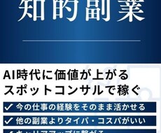 副業(スポットコンサル）の始め方・コツを教えます 自分の経験を資産へ。スポットコンサルの始め方を共有します