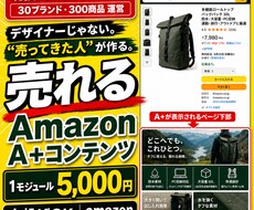 Amazon専門｜現役セラーが売れるA+作ります 30ブランド・300商品｜実践者が構成から設計するA+