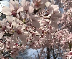ご相談乗ります日々のお話に付き合います イメージ1