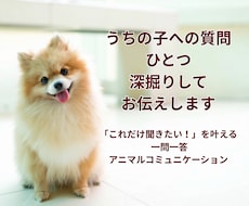 うちの子への質問１つを深掘りして答えをお伝えします イメージ1