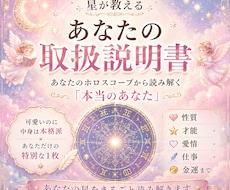 西洋占星術にてあなたの取扱説明書を作成します 可愛いのに本格派！取扱説明書｜星が教える性質・才能・愛・お金