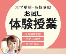 古文・小論文・総合型選抜入試対策の体験授業します イメージ1