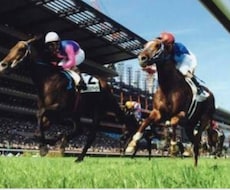 競馬投資☆競馬予想☆初心者でも簡単に買い目出せます この方法なら3連単、3連複、馬単、馬連、単勝どれでも使えます