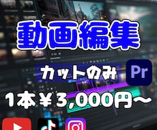 動画のカット編集代行します イメージ1