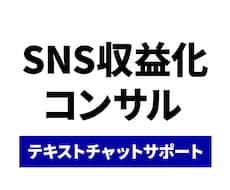 あなたの収益化をマンツーマンで徹底サポートします イメージ1