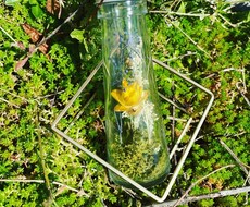 サステイナブルなお花の楽しみ方提案します イメージ1