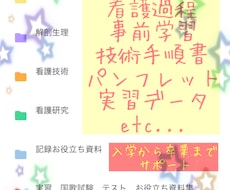 国家試験 看護過程 計画  実習 データ提供します 課題の辛さ劇的変化☆手書き、Word、5000以上の資料