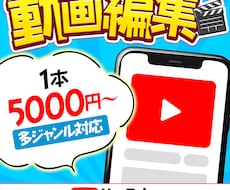 編集歴10年のプロがYouTube動画を制作します イメージ1