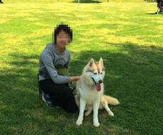 お持ちの写真や画像を更にキレイにします 記念に取った写真の背景に人などが映り込んでしまった時など