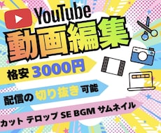 YouTubeやTikTok等の動画編集します イメージ1