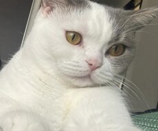 お悩みがある方どんな内容でもお受けします イメージ1
