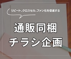 通販商品の同梱チラシの骨子作成します 同梱チラシのWFとライティング作成します。