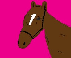 動物の絵を描きます イメージ1
