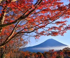 あれ？何何して居てもしかして病んだ？？それ教えます イメージ1