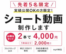 実績公開可の方限定！お安くショート動画制作します イメージ1