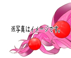 Twitterのヘッダー描きます イメージ1