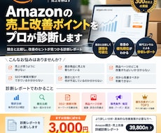 Amazonの商品を競合比較し売上改善診断します 主力商品1点を競合と比較し改善ポイントをレポート