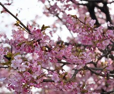 些細なことでも何でも聞きます イメージ1