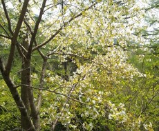 あなたの周りの初対面・あるいは困ったさん・天敵対策を姓名判断でちょこっとアドバイス