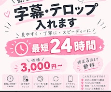 最短24時間〜 動画に字幕・テロップ入れます イメージ1