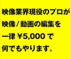 5,000円で映像のプロが動画編集何でもやります イメージ1