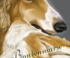 愛犬、ペットの似顔絵を描きます
