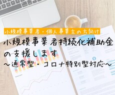 小規模事業者持続化補助金の経営計画書作成致します 【小規模事業者様必見！】書類作成します