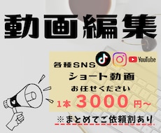 ショート動画の編集承ります イメージ1