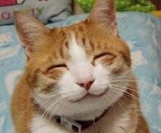 あなたの恋愛相談なんでものります。