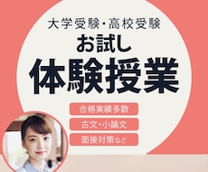 古文・小論文・総合型選抜入試対策の体験授業します 大学受験指導歴26年プロ講師マキ先生が合格をサポート！