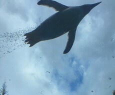 どんなに些細な事でも相談に乗ります イメージ1