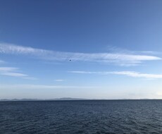 なんでも話聞きます イメージ1
