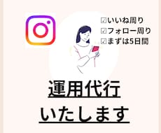 いいね代行でインスタ伸ばすお手伝いします 丁寧な作業でいいねが増える、見てもらえるアカウントのお手伝い
