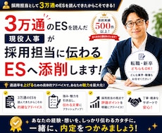 実績500件★丁寧な採用担当が通るＥＳに仕上げます 新卒・転職・公務員試験にも精通／丁寧・的確なアドバイス