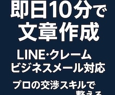 ビジネスメール・クレーム文をプロ品質に整えます イメージ1