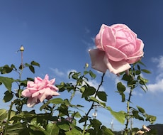 仕事、介護、プライベートなど愚痴や相談のります イメージ1