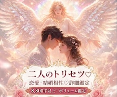 二人のトリセツ♡恋愛結婚相性鑑定8800字届けます 性格や恋愛傾向＆相性プラスとマイナス面♡改善策付♡片思いOK