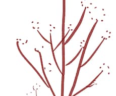 簡単な線画を提供いたします イメージ1