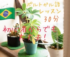 初心者okオンラインでポルトガル語の会話をします