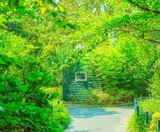 ただ話したい人へ❀優しくそっと寄り添います イメージ1