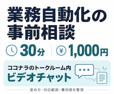 業務自動化の事前相談をビデオチャットで行います 30分で業務を整理し、進め方と費用感をご相談
