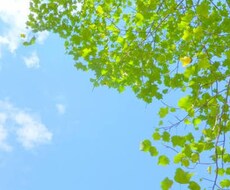 一人で悩まないで。恋愛、人間関係、お話聞きます イメージ1