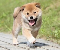 相手の考えが読めない！人間関係の悩み解消します